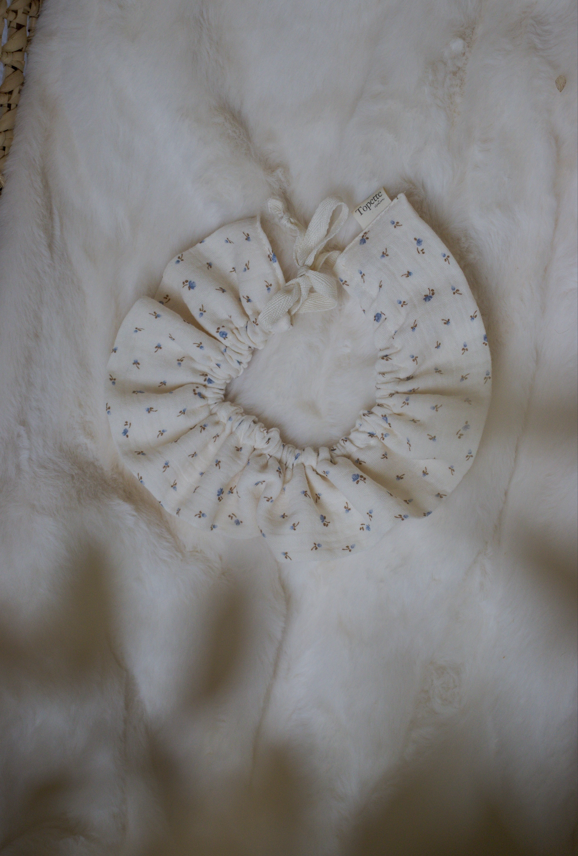 Collerettes Bleuet