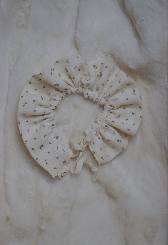 Collerettes Bleuet
