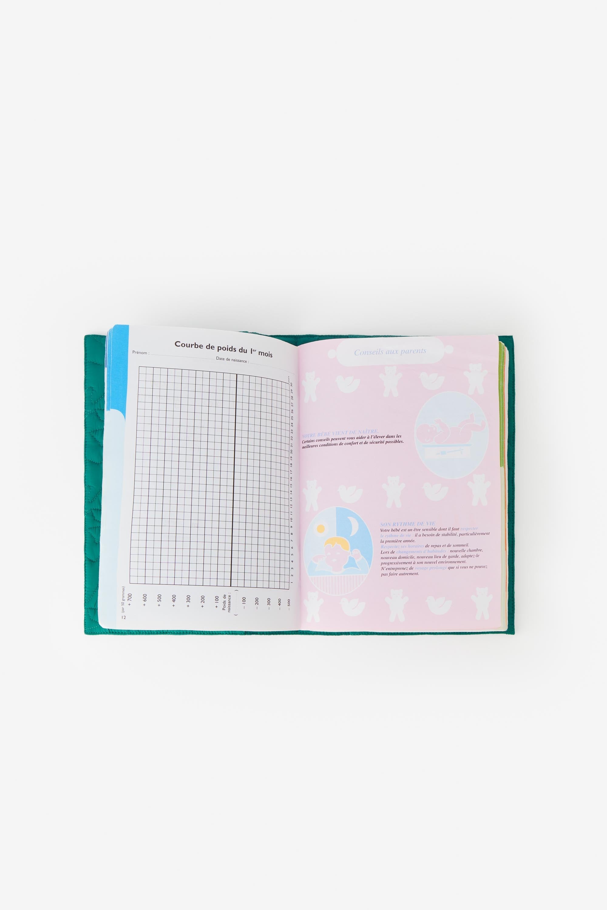 Protège cahier adapté au format carnet de santé. En nylon vert, matelassé motif oiseaux. 26 paradis.